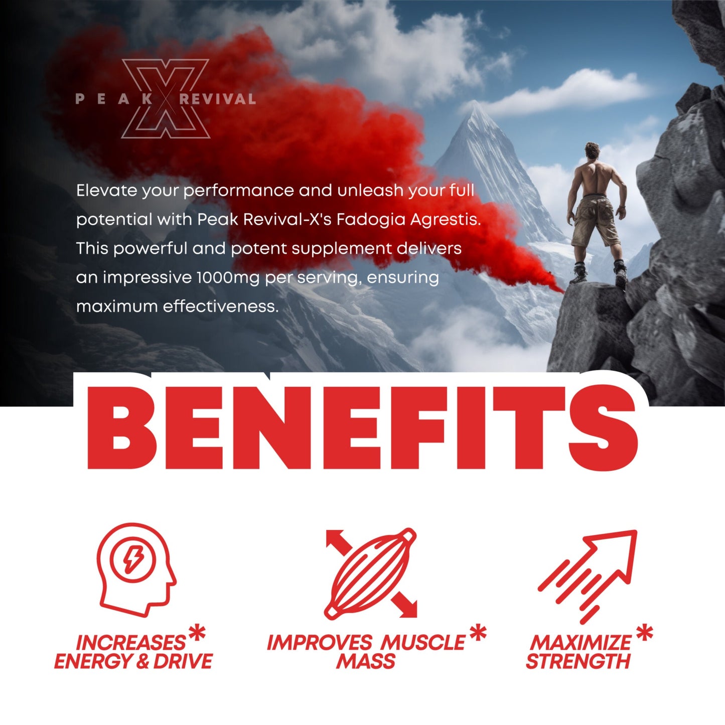 Fadogia Agrestis Supplement 1000mg