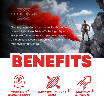 Fadogia Agrestis Supplement 1000mg