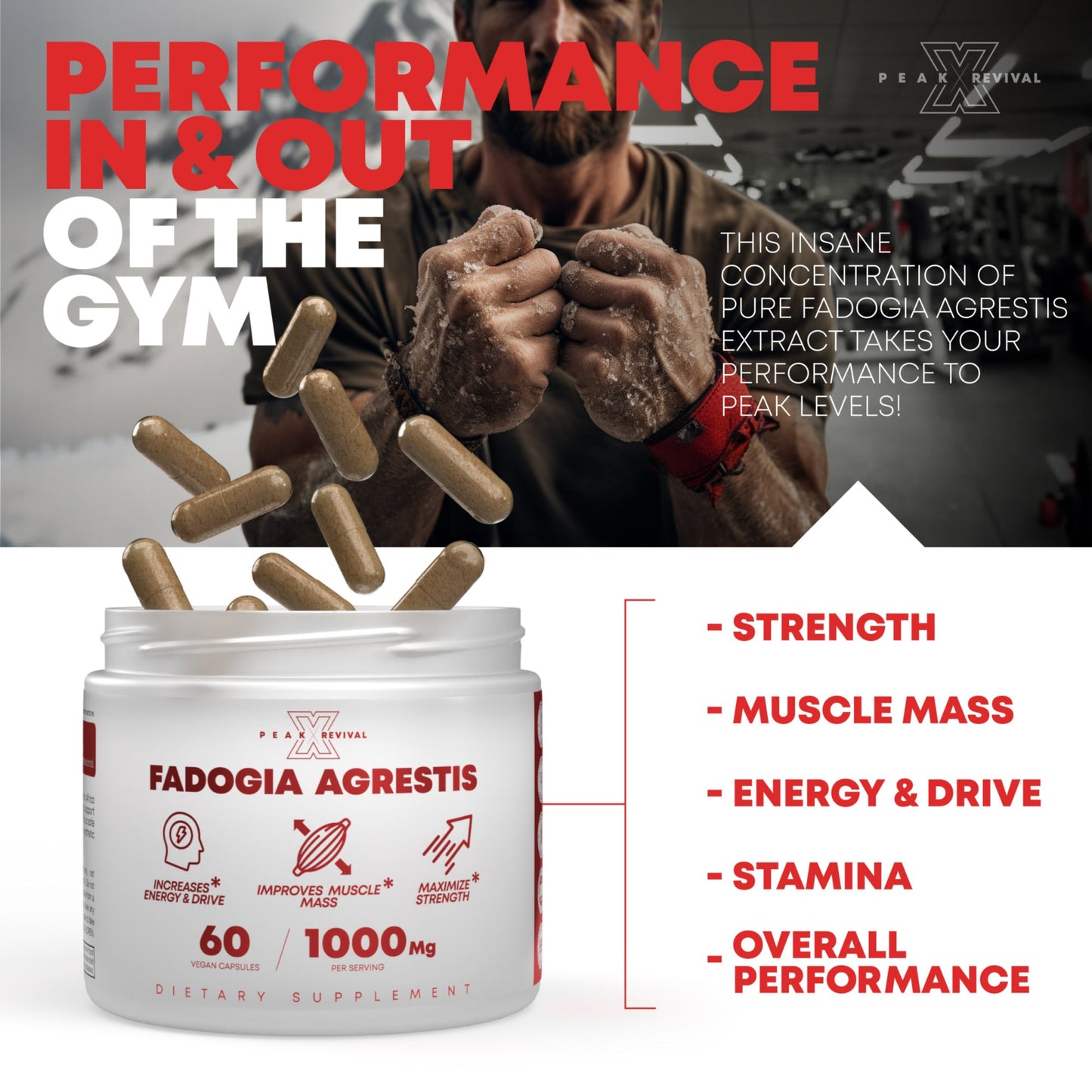 Fadogia Agrestis Supplement 1000mg