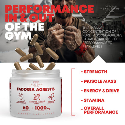 Fadogia Agrestis Supplement 1000mg