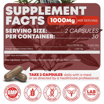 Fadogia Agrestis Supplement 1000mg