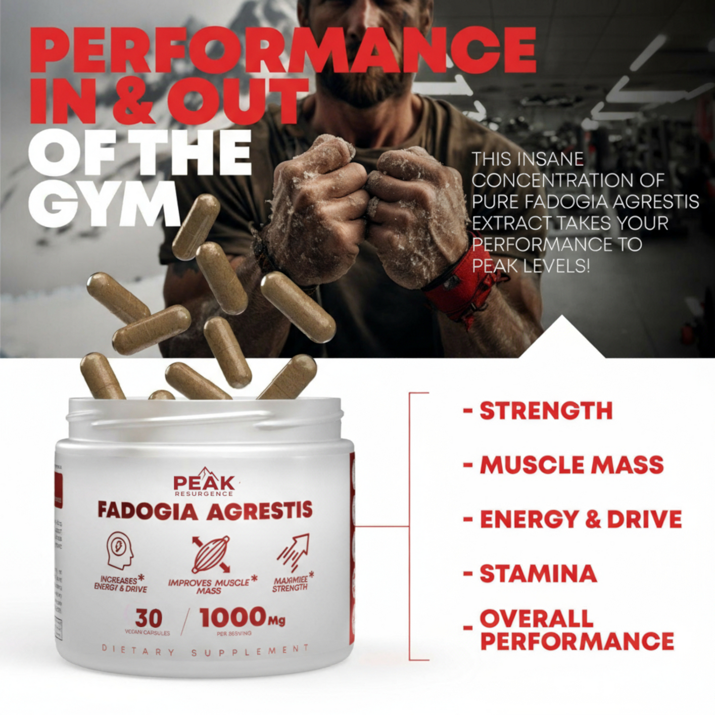 Alpha Muscle Stack – 2000mg Total Strength Formula | Turkesterone + Tongkat Ali + Fadogia Agrestis