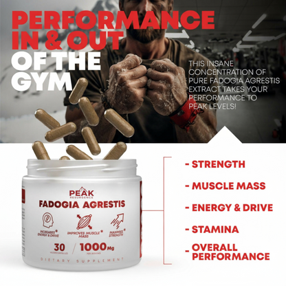 Alpha Muscle Stack – 2000mg Total Strength Formula | Turkesterone + Tongkat Ali + Fadogia Agrestis
